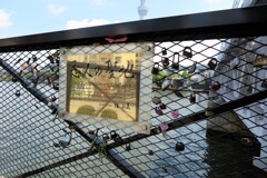SUMIDA RIVER WALK (2)