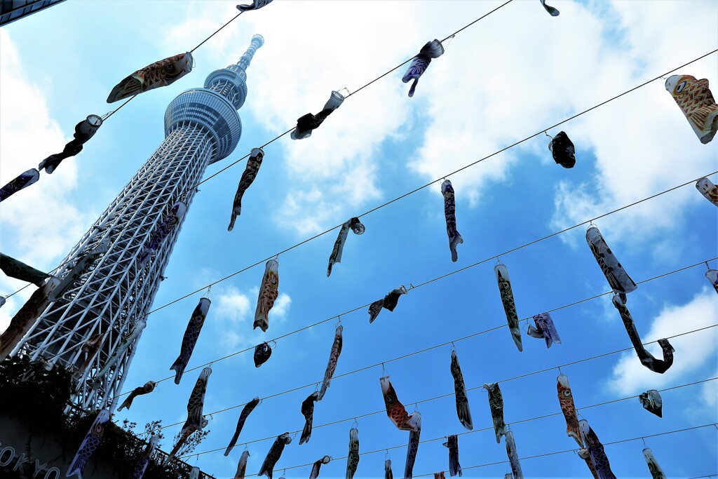 東京スカイツリータウン鯉のぼりフェスティバル2022 (2)