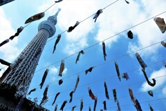 東京スカイツリータウン鯉のぼりフェスティバル2022 (2)