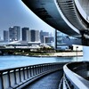 虹の散歩道 ④