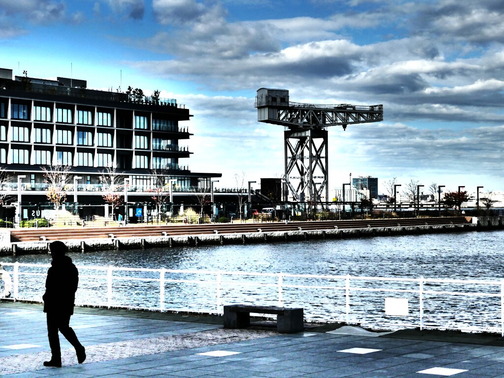 ハンマーヘッド (4)