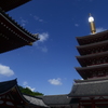 浅草寺五重塔(三社祭の朝）