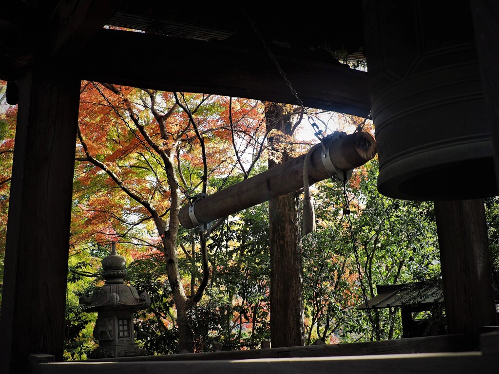 晩秋の深大寺　鐘楼