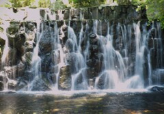 上尾円山公園散策 (5)