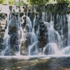 上尾円山公園散策 (5)