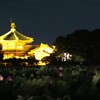 上野不忍池 (4)