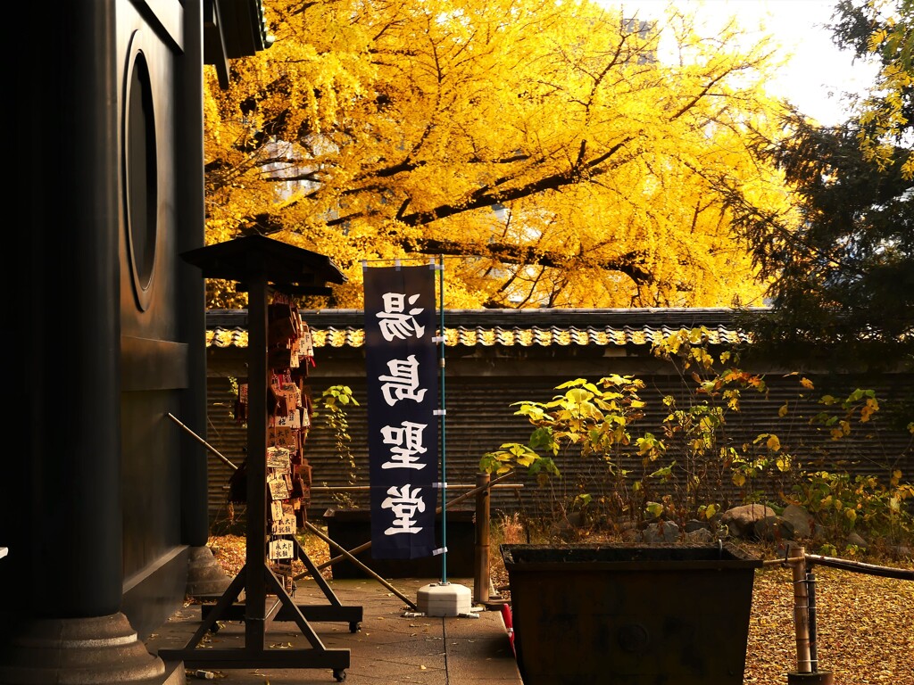 御茶ノ水さんぽ (18)【湯島聖堂】