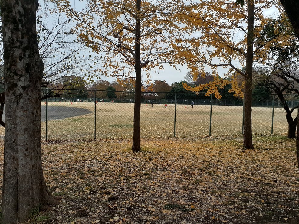 大宮第二公園(グランド）