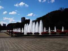 上野公園 ②