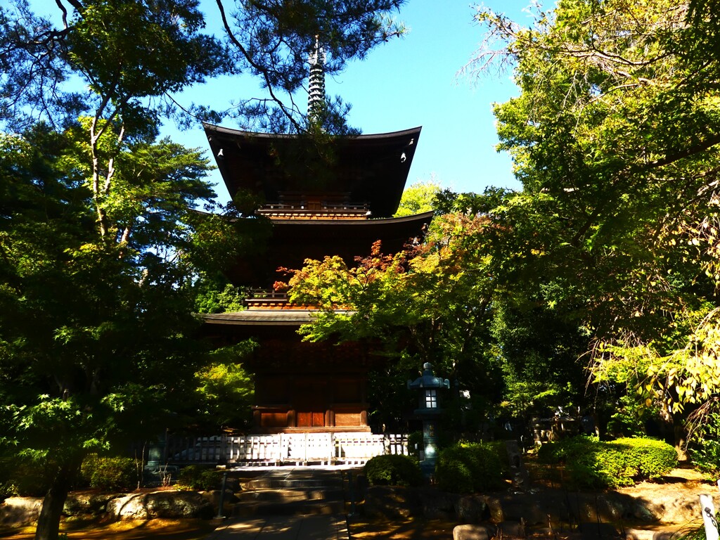 東京百景 (51)