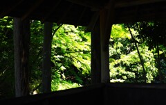上尾円山公園散策 (3)