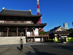 芝 増上寺