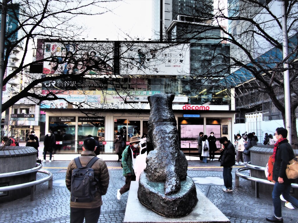 渋谷散策 (2)   