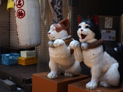 谷中さんぽ (14)