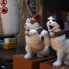 谷中さんぽ (14)