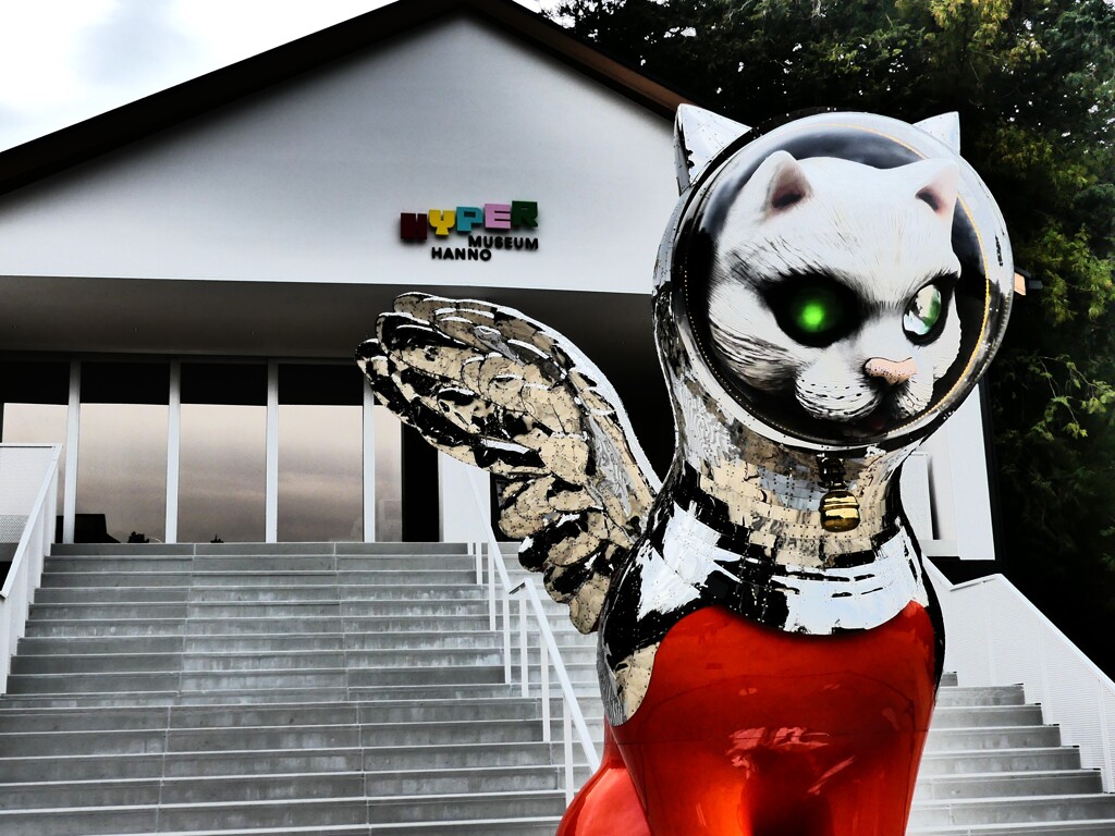 宇宙猫 (1)