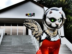 宇宙猫 (1)