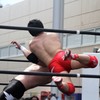 プロレス②