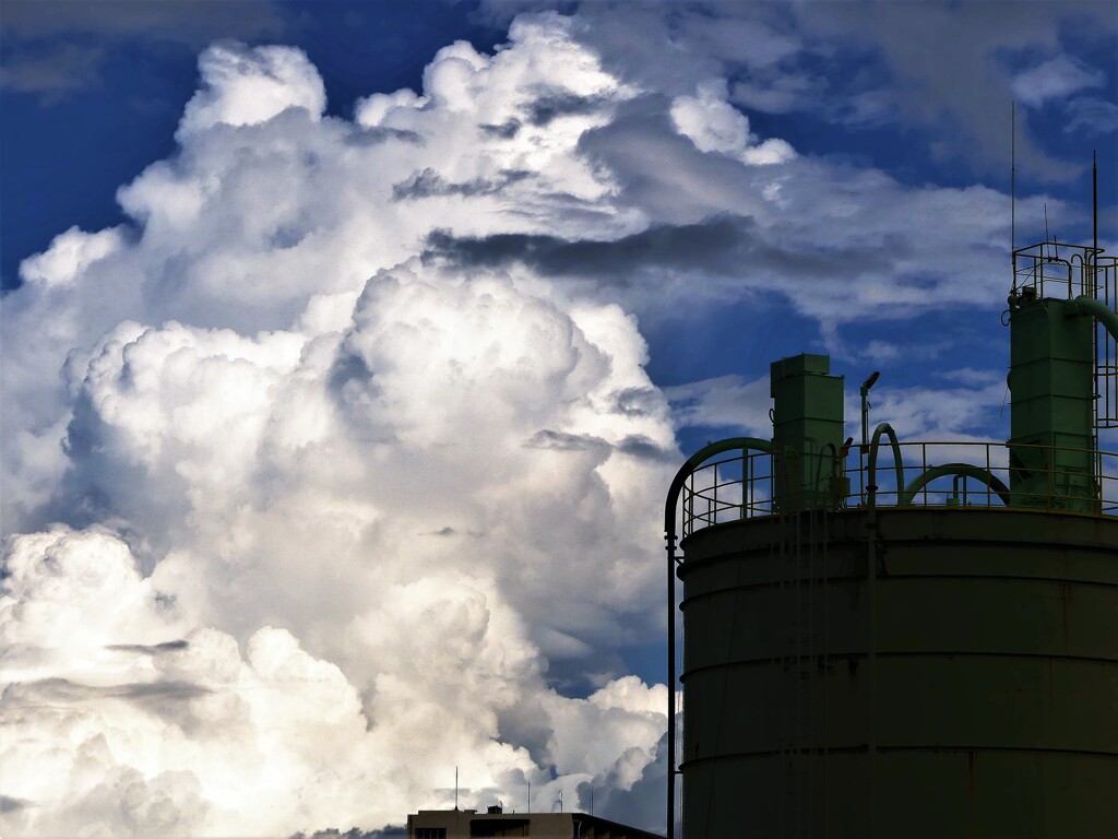 夏雲 (1)