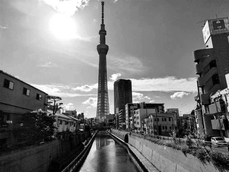 ある日のスカイツリー
