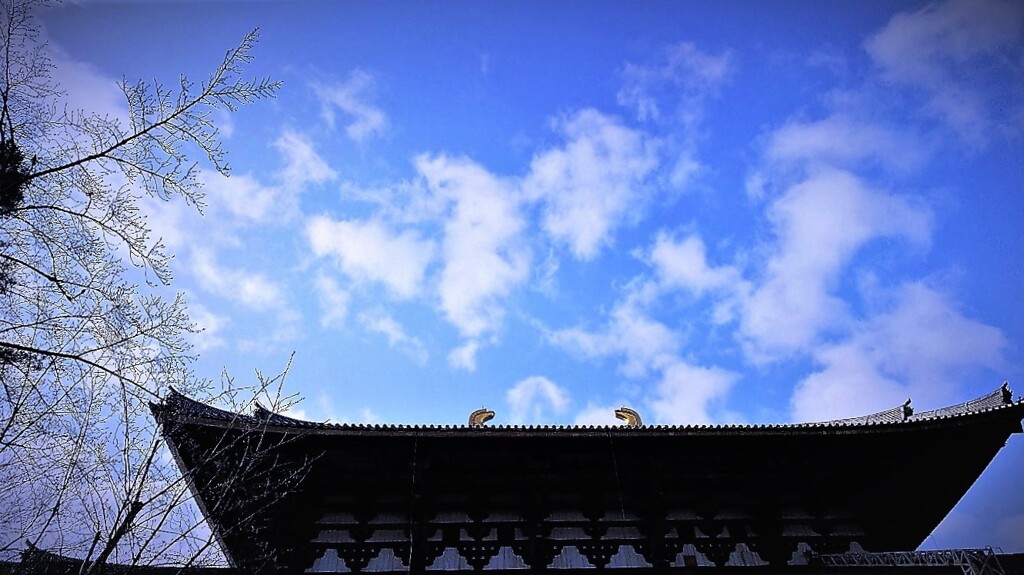 東大寺 鴟尾