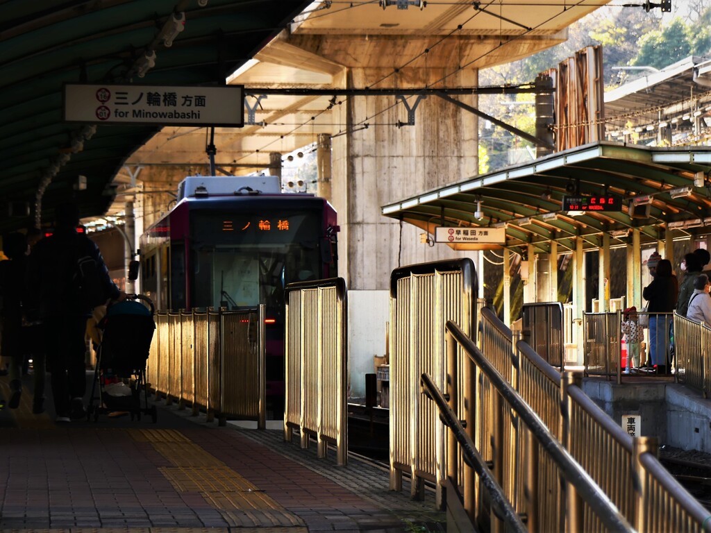 東京さくらトラム (1)