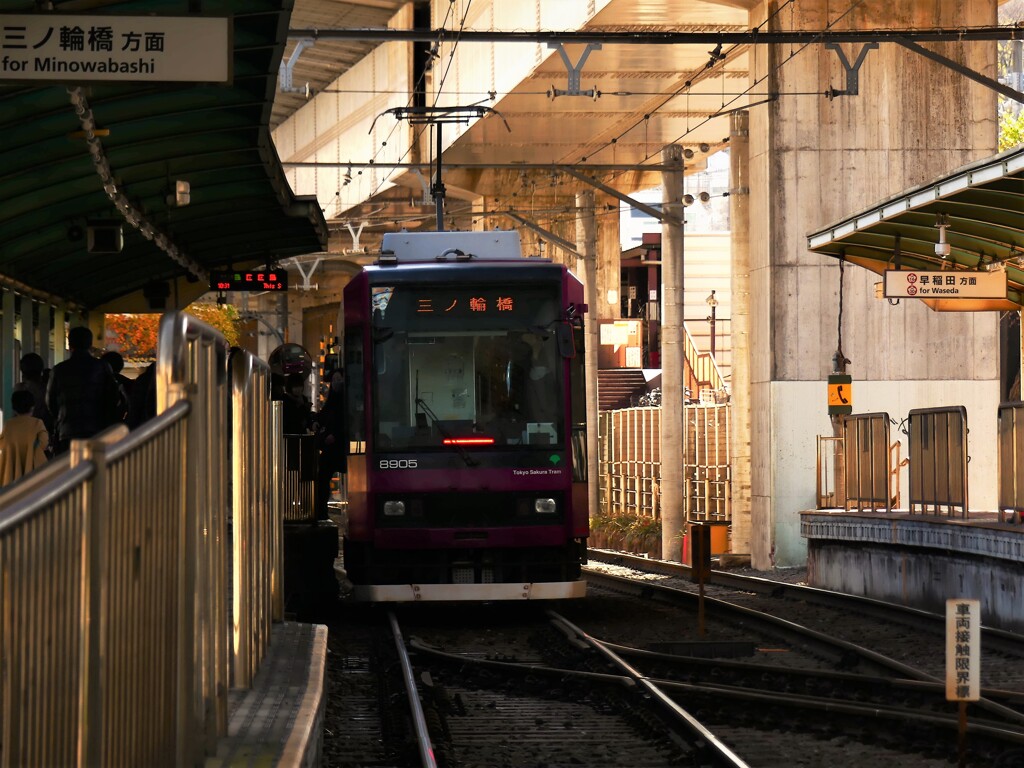 東京さくらトラム (2)