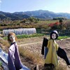 奈良の秋