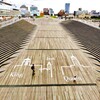 大さん橋   くじらのせなか
