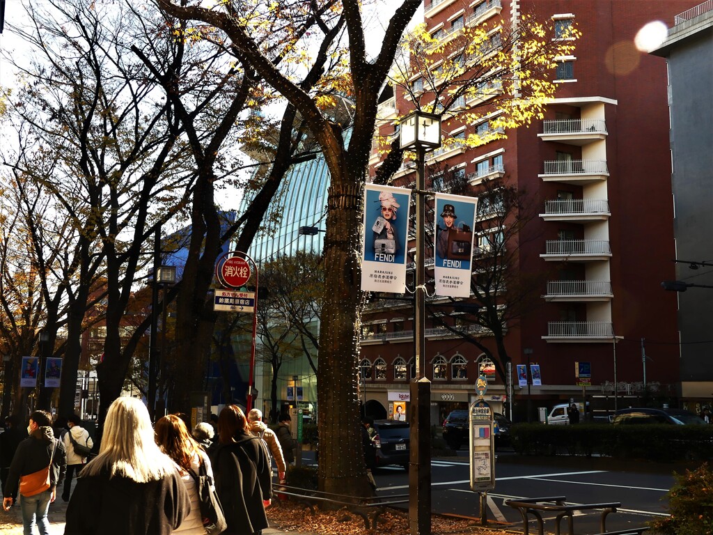 表参道・原宿 (3)