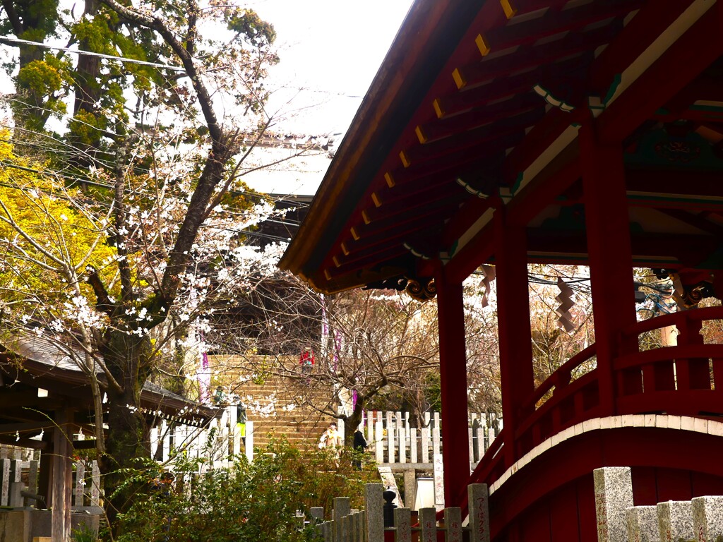 筑波山神社 (2)
