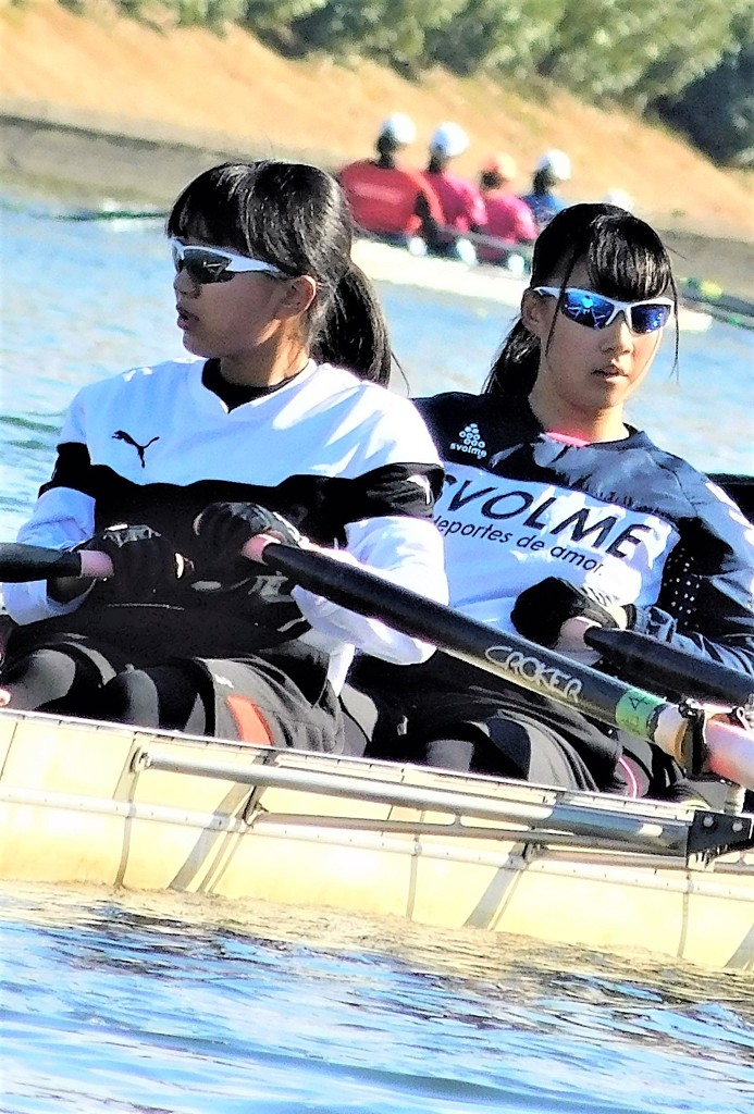 regatta