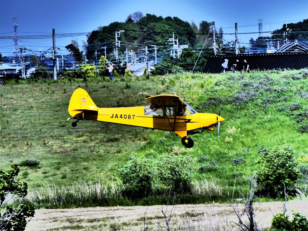 Piper PA-18 Super Cub