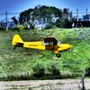 Piper PA-18 Super Cub