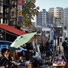 谷中ぎんざ②