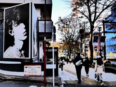 表参道・原宿 (1)