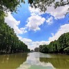 メタセコイアの沼