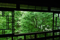 窓