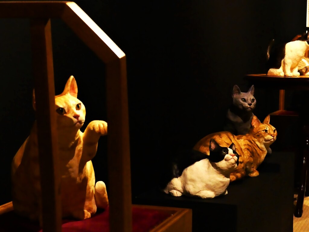 猫 (2)