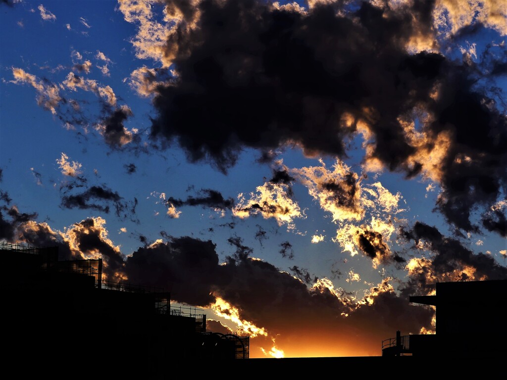 土砂降りのち晴れの夕方は