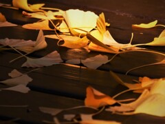 代々木公園 (3)