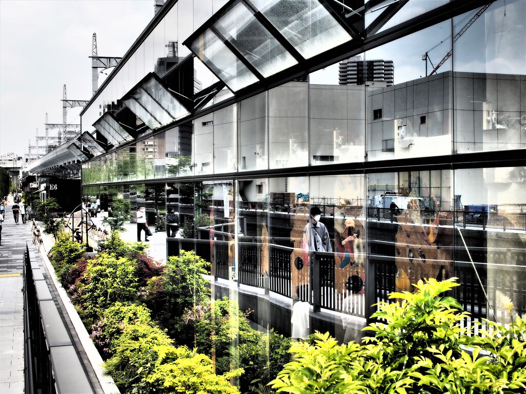 TOKYO mizumachi (2)