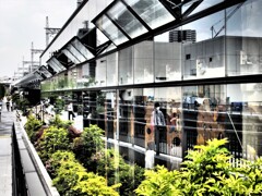 TOKYO mizumachi (2)