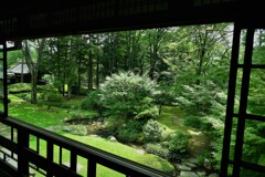 庭園