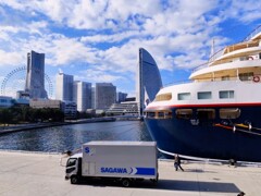 ハンマーヘッド (2)