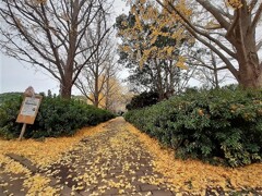 大宮第二公園 (小径)