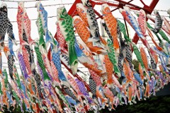 東京タワーと鯉のぼり②