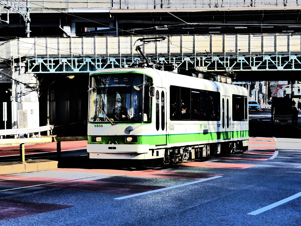 東京さくらトラム (4)