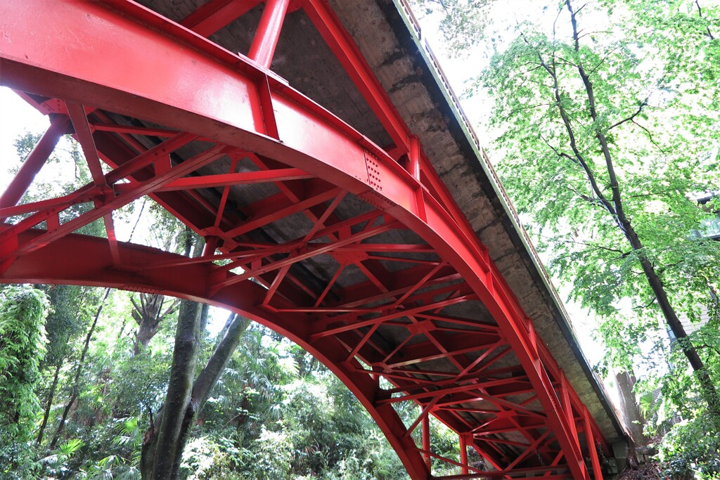 赤い橋【等々力渓谷ゴルフ橋】
