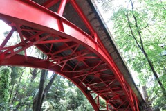 赤い橋【等々力渓谷ゴルフ橋】
